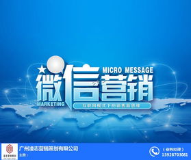海珠區(qū)網(wǎng)站建設與軟件開發(fā) 凌志營銷策劃的專業(yè)之道